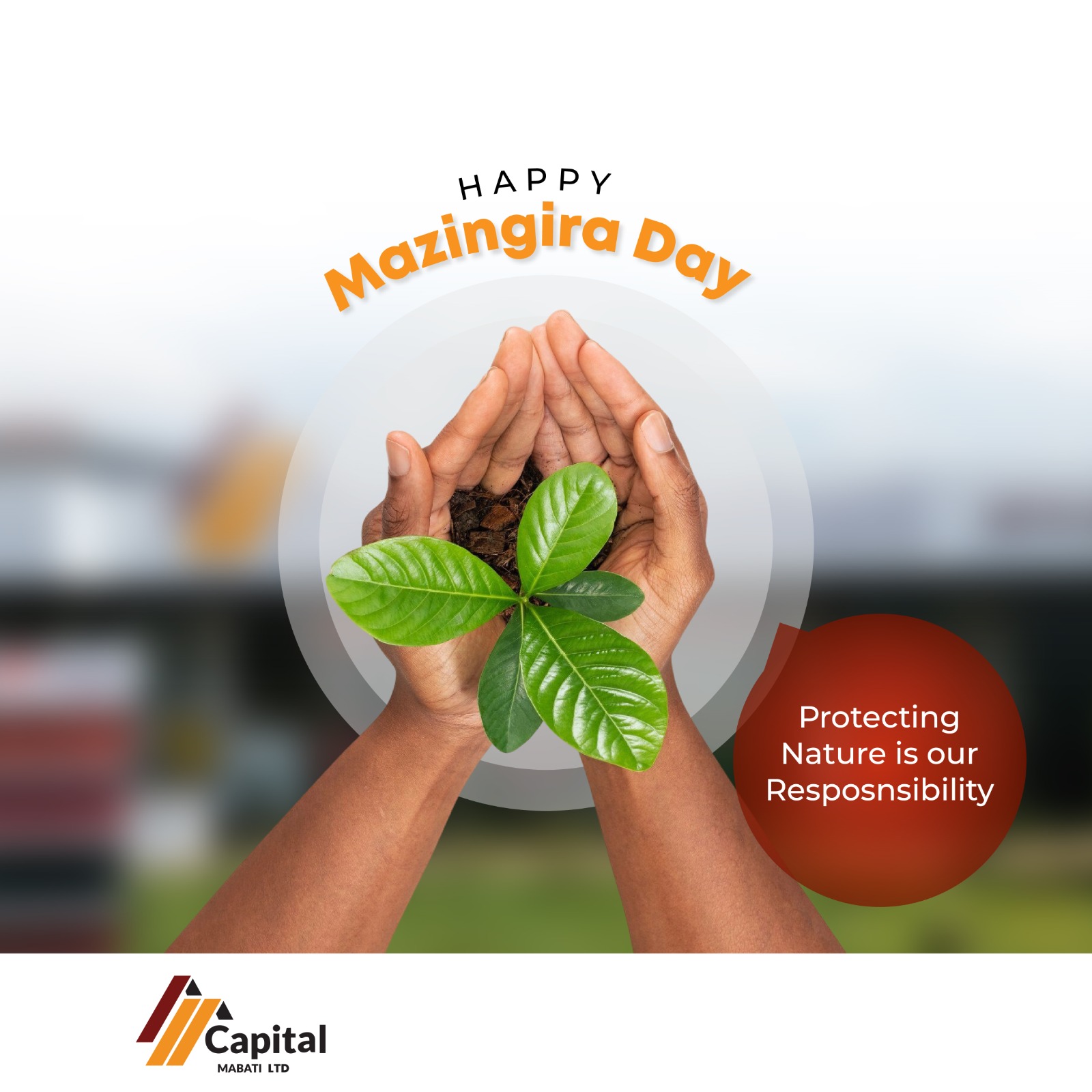 Happy Mazingira Day 2026: Protecting Nature Is Our Responsibility